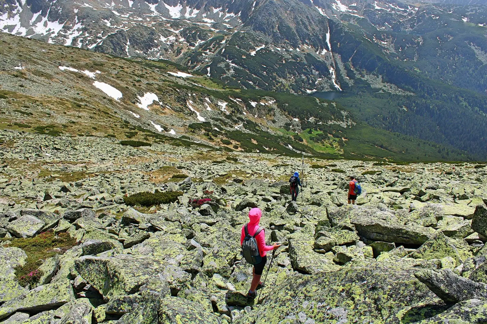  Lacurile Ştirbu şi Gemenele din Rezervaţia Ştiinţifică Gemenele - Sima Constantin