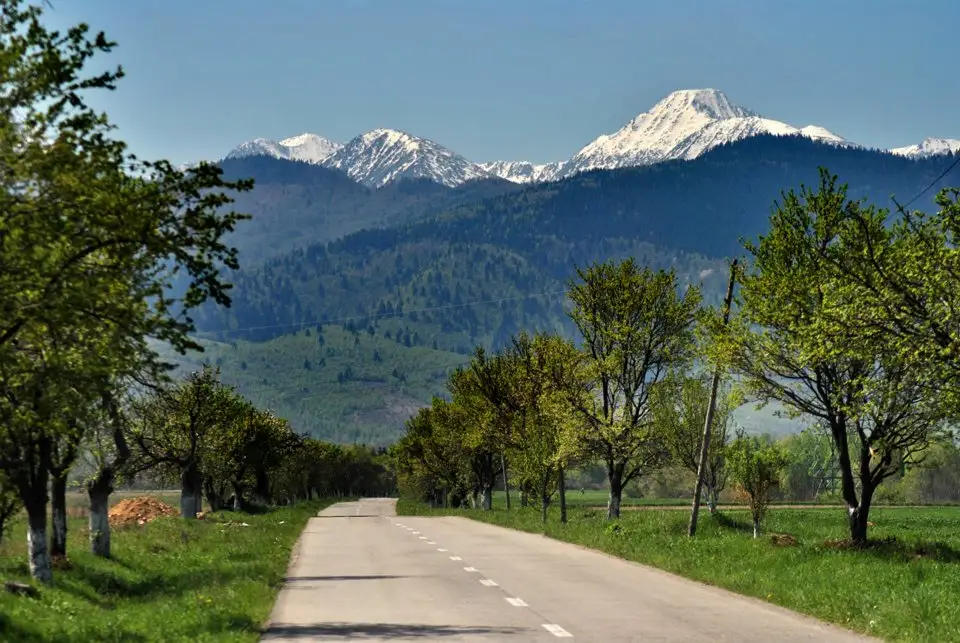  Dinspre Ohaba de Sub Piatra spre Salasul de Sus - Daniel Morar