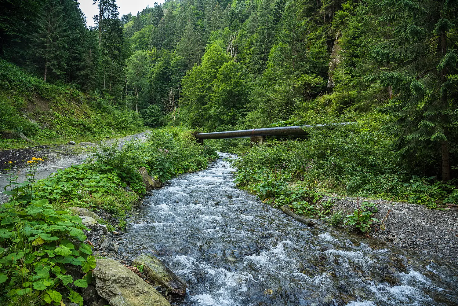 Munții Făgărașului