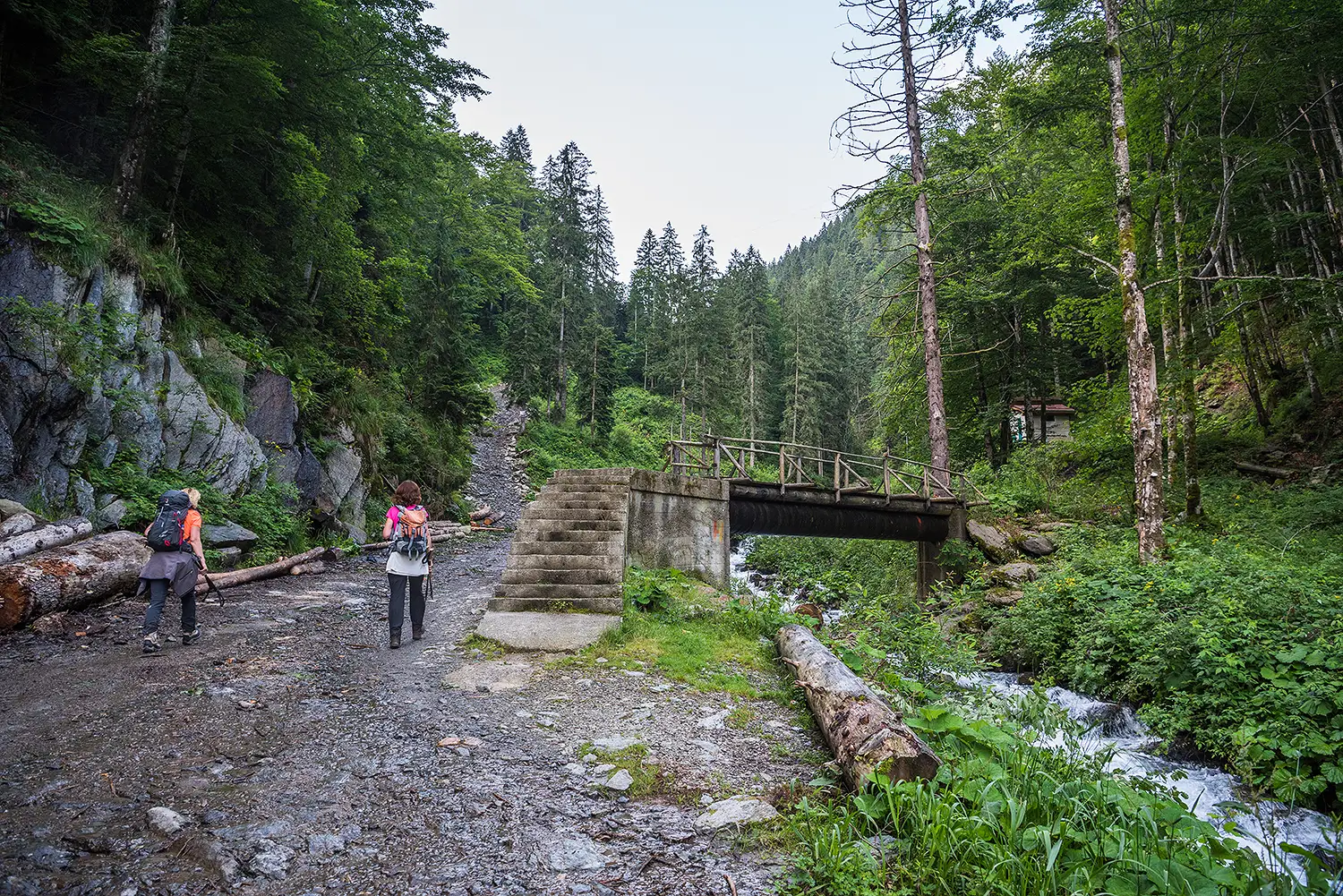 Munții Făgărașului