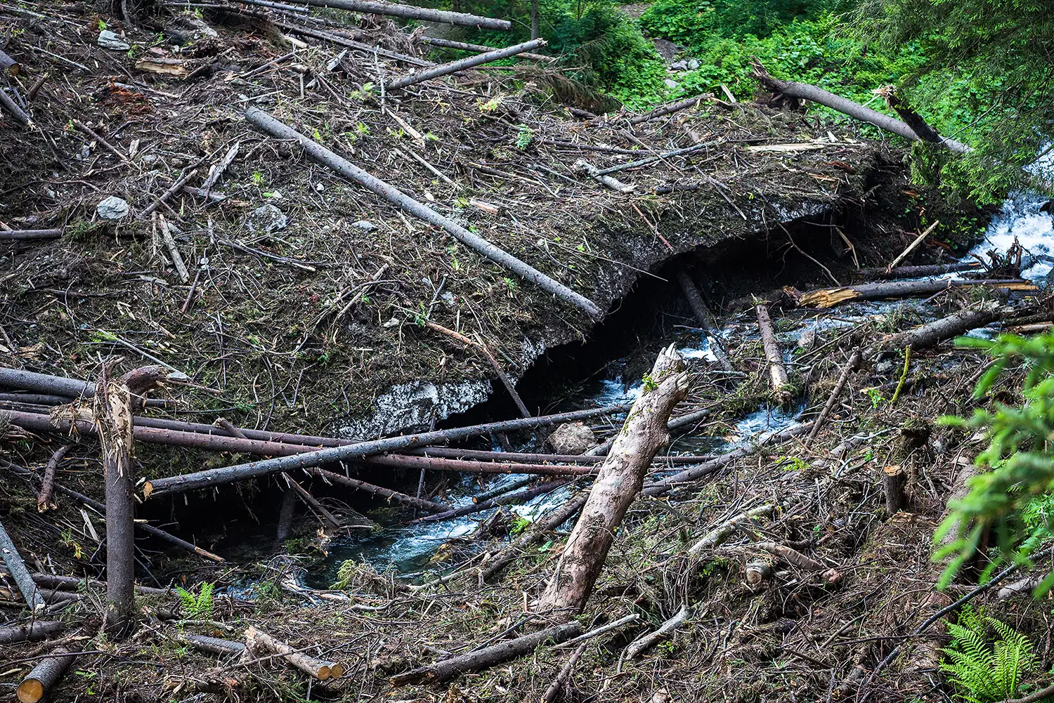Munții Făgărașului