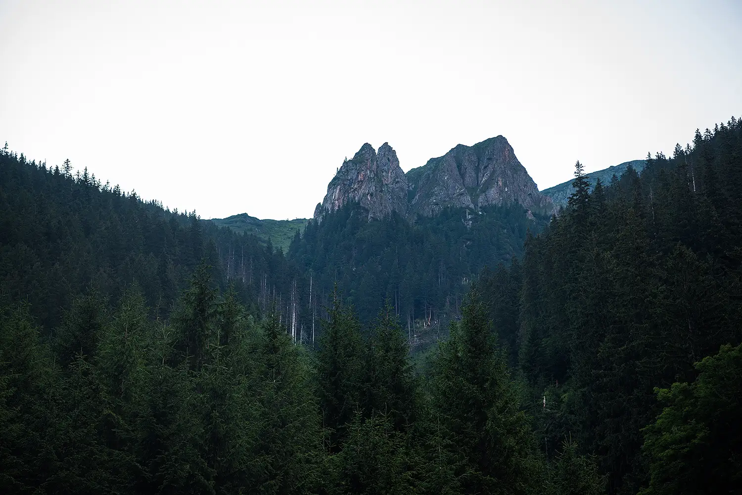 Munții Făgărașului