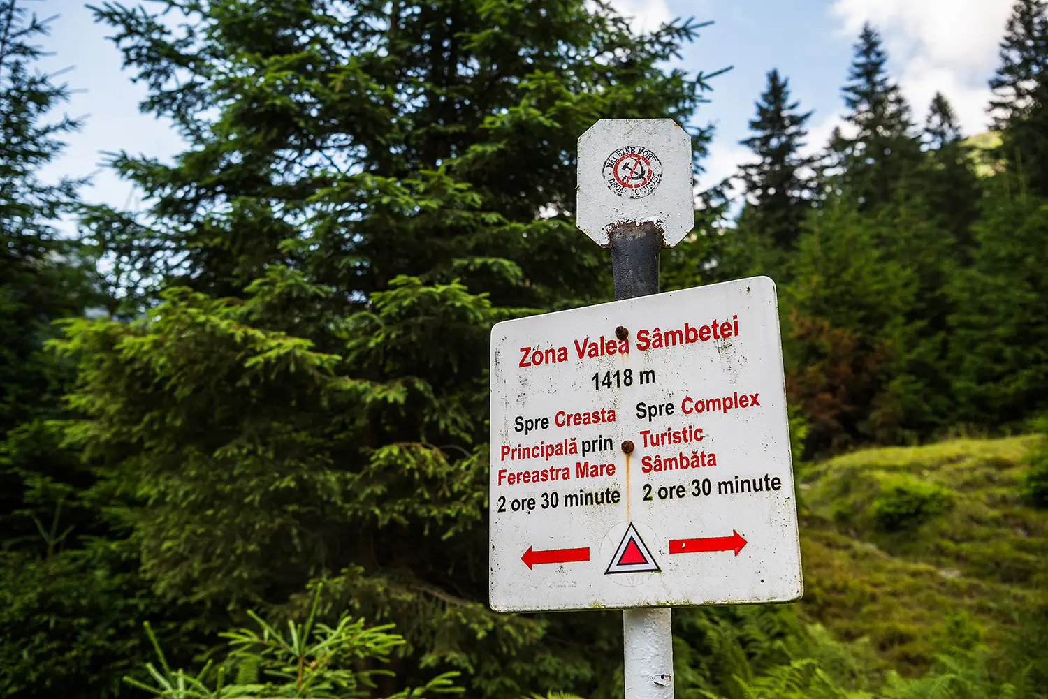 Munții Făgărașului