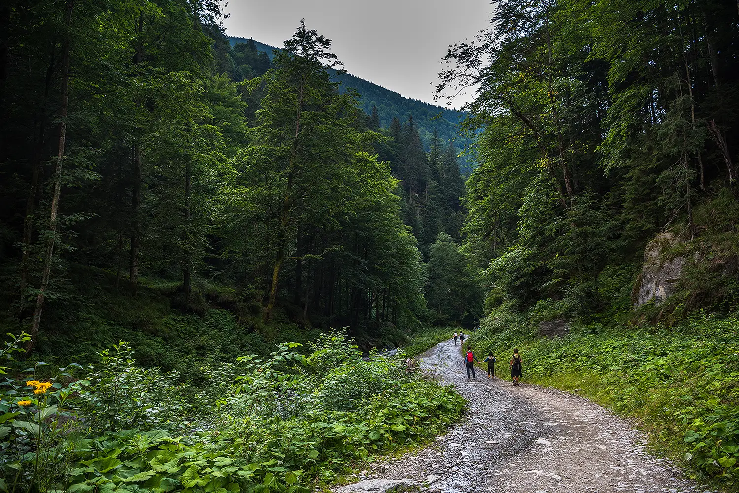 Munții Făgărașului