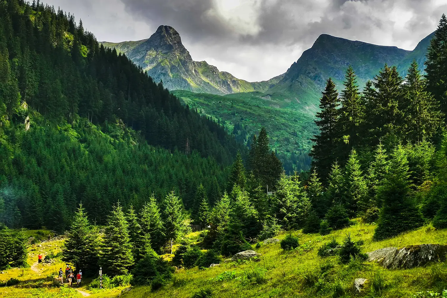 Munții Făgărașului