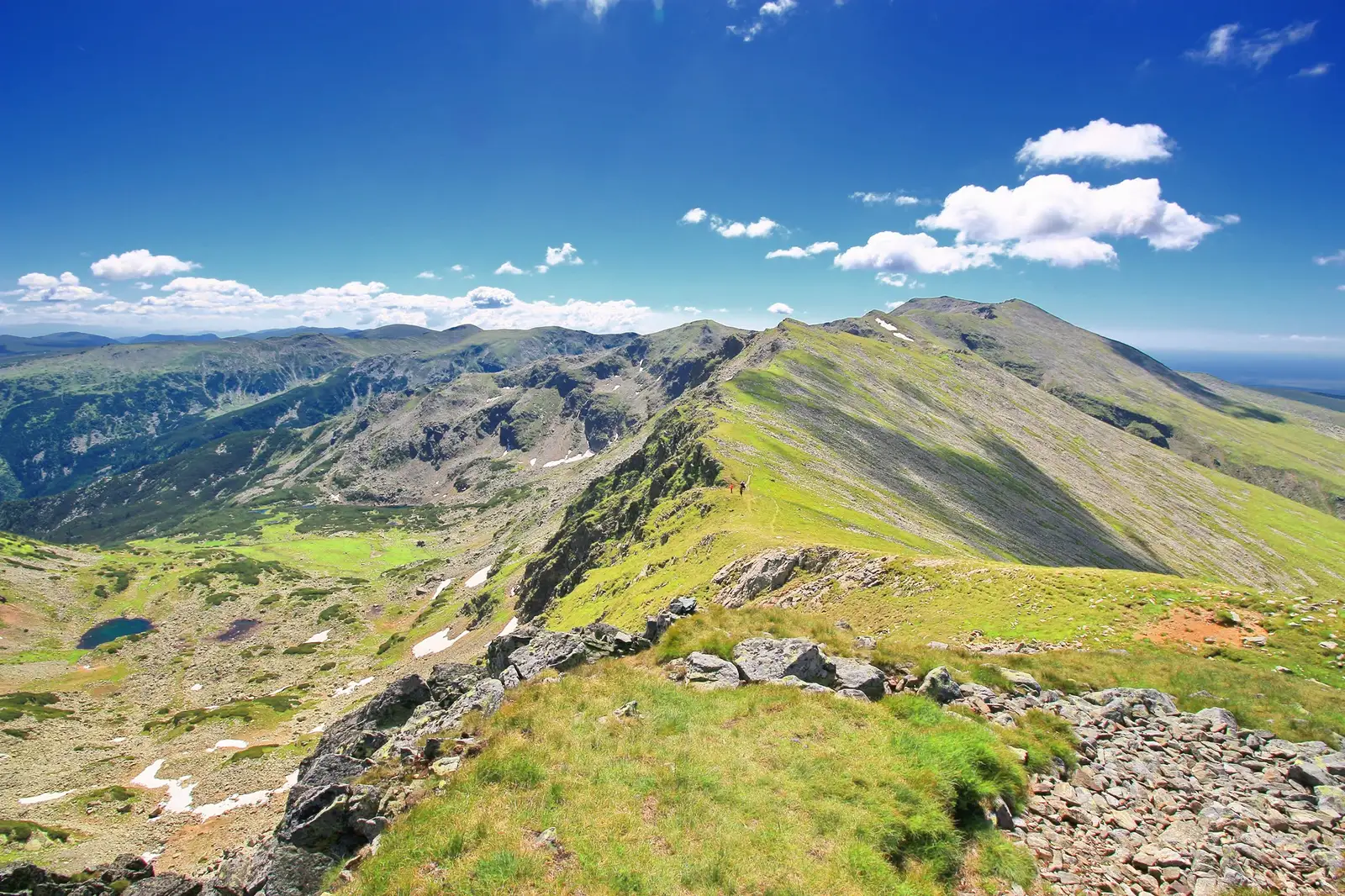  Creasta Munților Parâng văzută de pe Vârful Cârja - Liana Marin