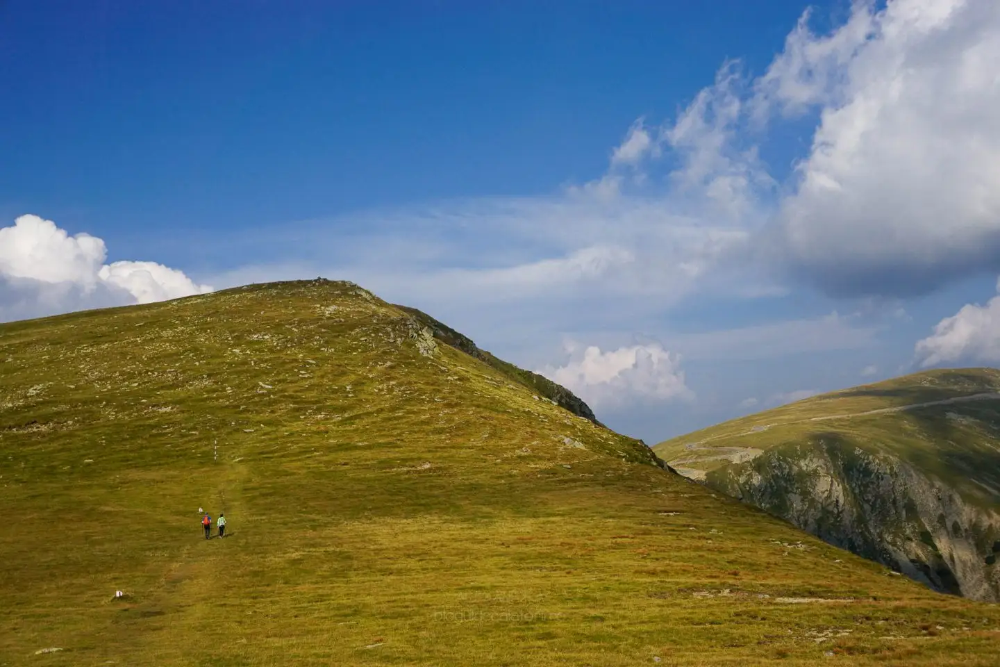  Vf. Iezer - Alexandra Puscasu