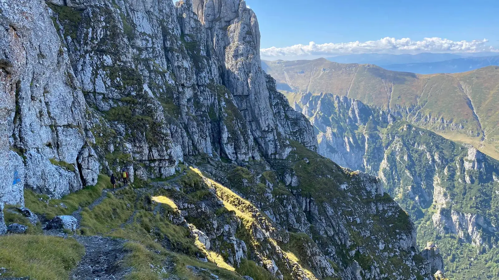  Porțiunea de brână propriu-zisă - Marius Popa