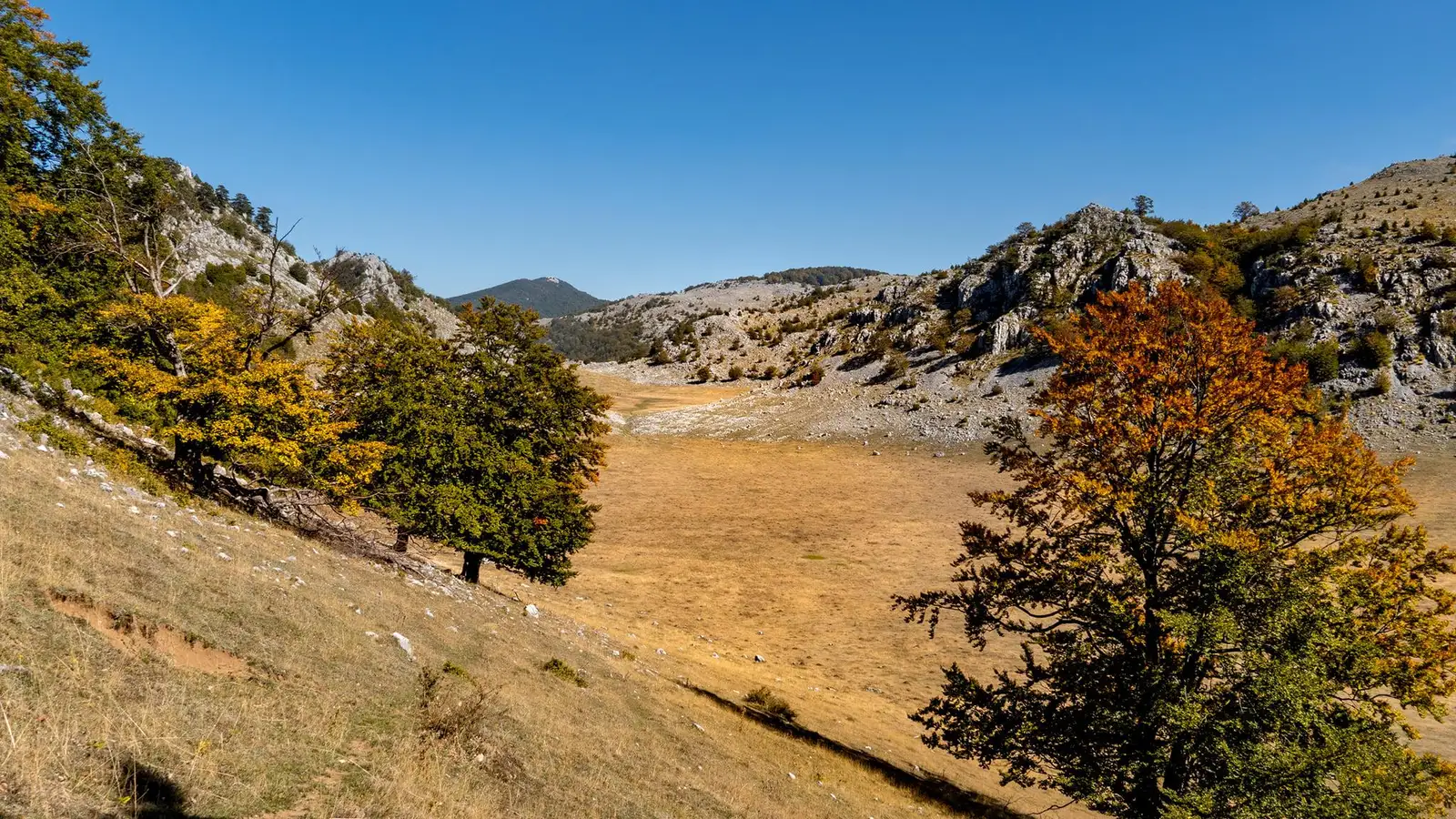  Poienile de Sus - Marian Stan