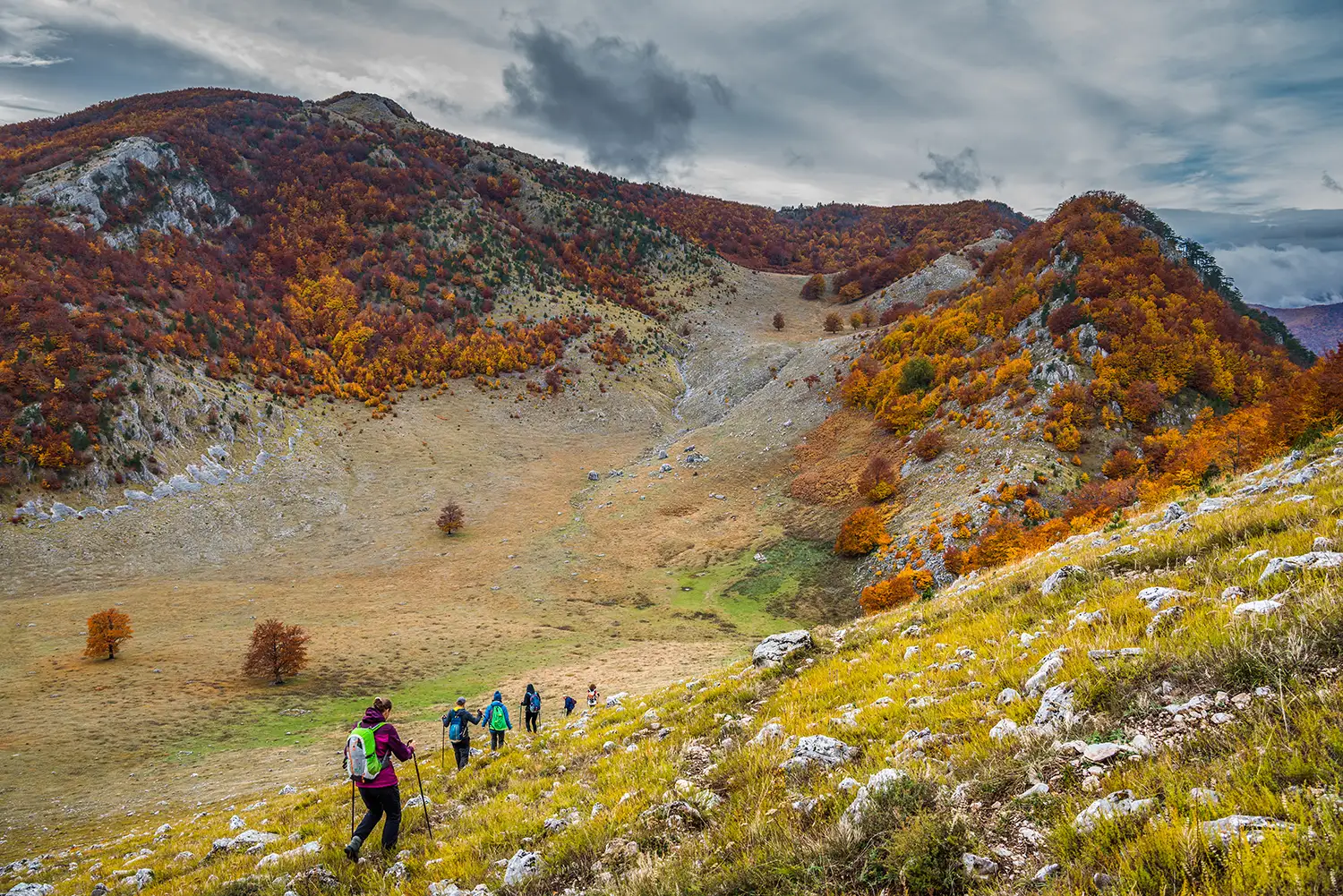 Parcul National Domogled-Valea Cernei