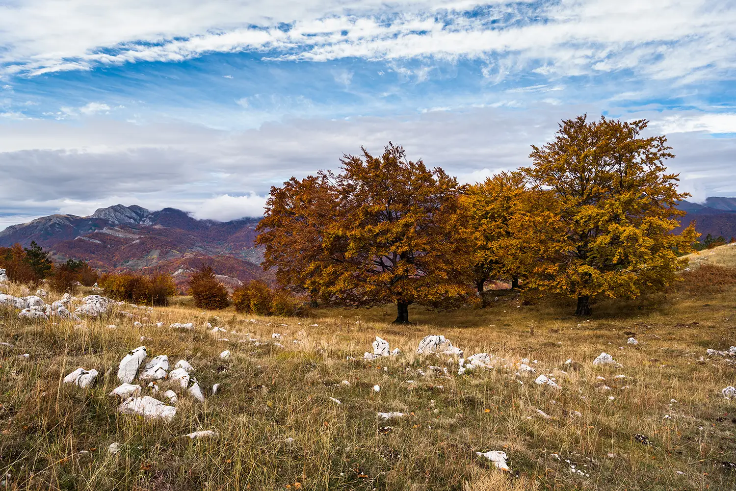 Parcul National Domogled-Valea Cernei