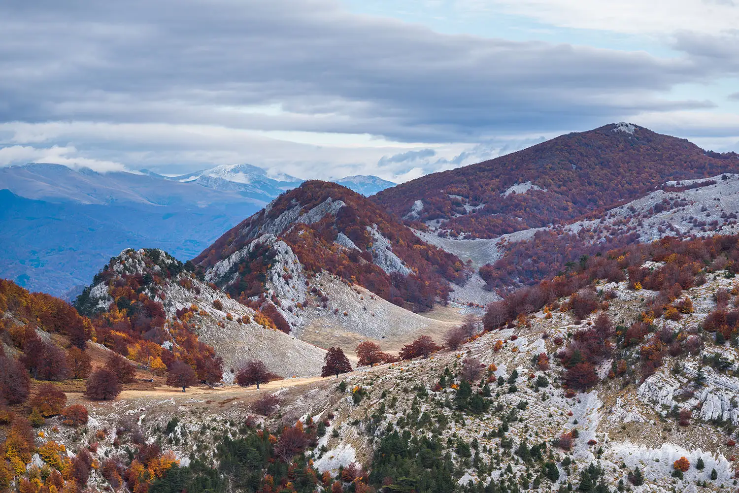 Parcul National Domogled-Valea Cernei