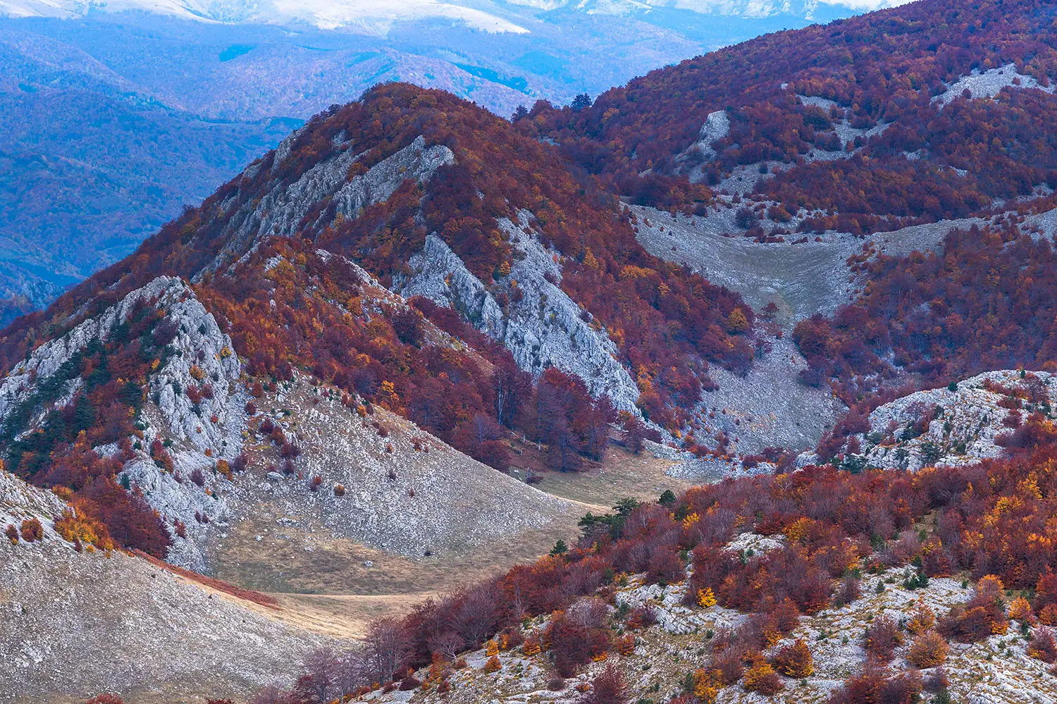 Parcul National Domogled-Valea Cernei