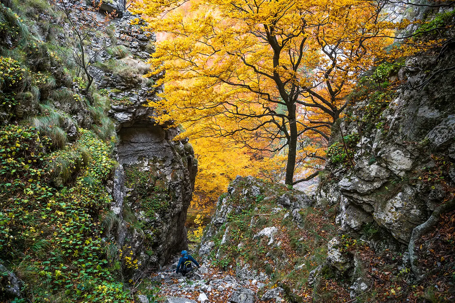 Parcul National Domogled-Valea Cernei