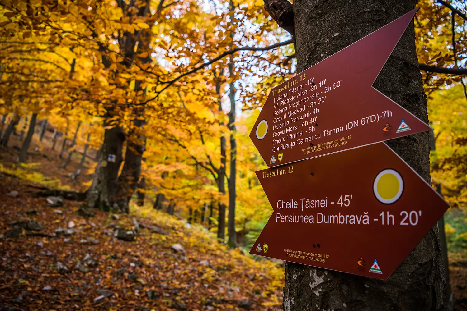 Parcul National Domogled-Valea Cernei