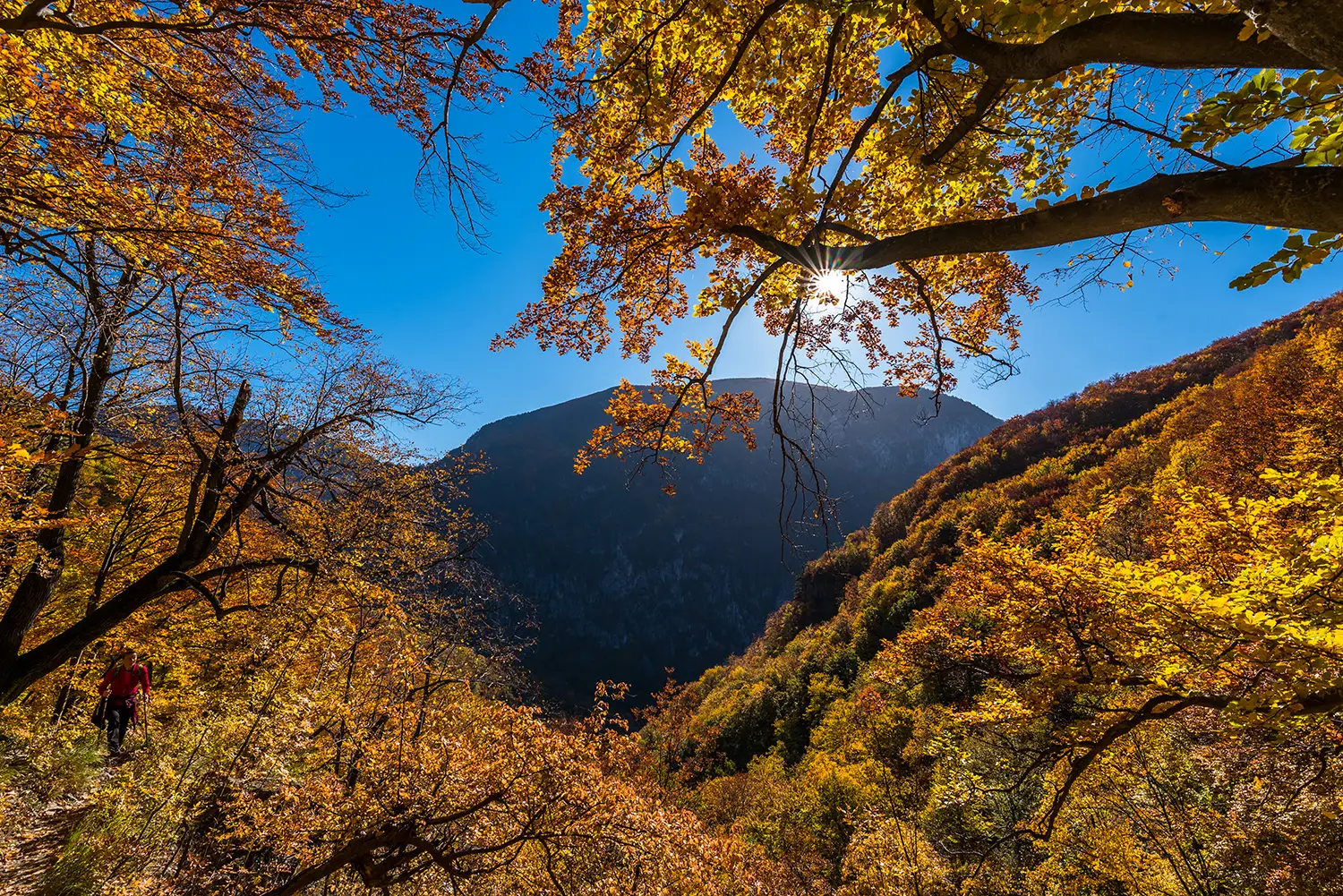 Parcul National Domogled-Valea Cernei