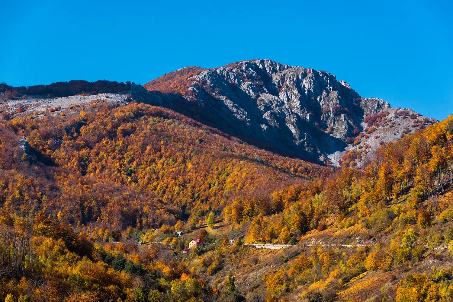Parcul National Domogled-Valea Cernei