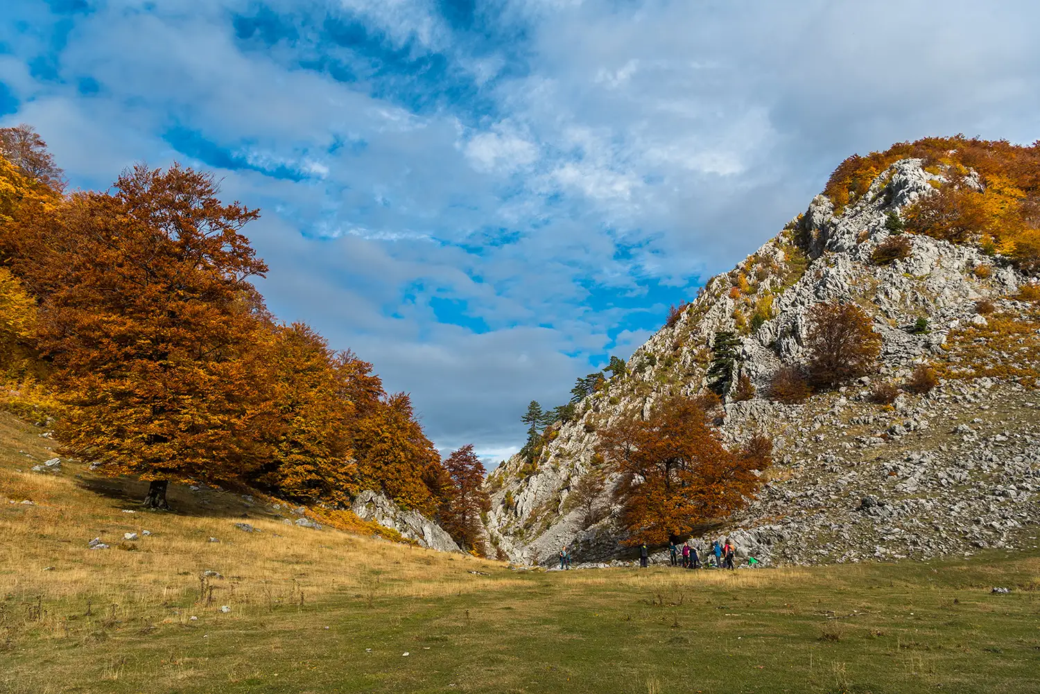 Parcul National Domogled-Valea Cernei