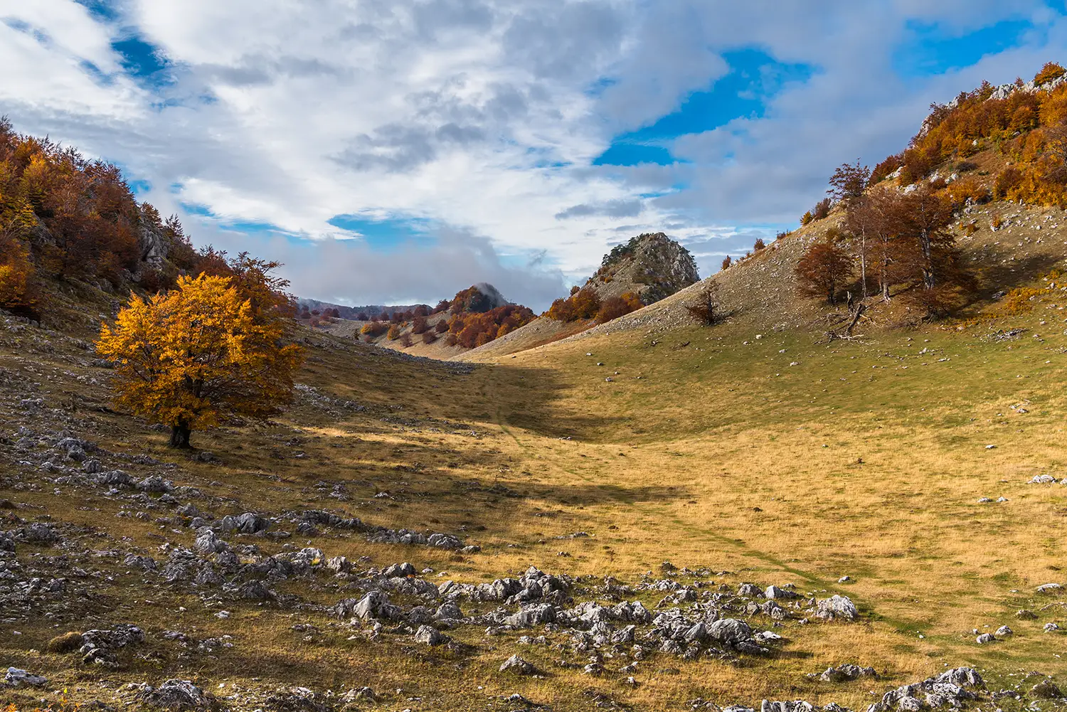 Parcul National Domogled-Valea Cernei