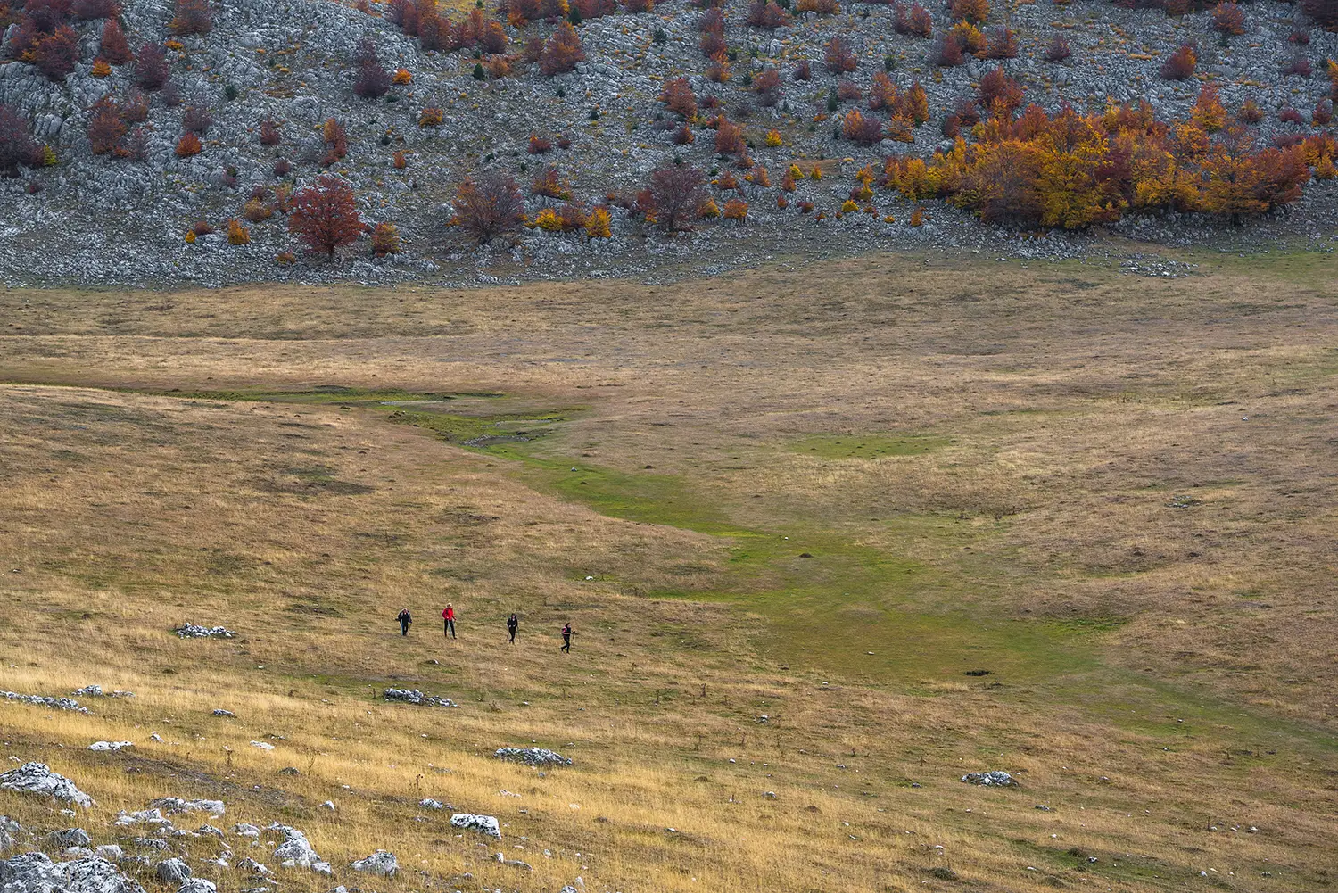Parcul National Domogled-Valea Cernei