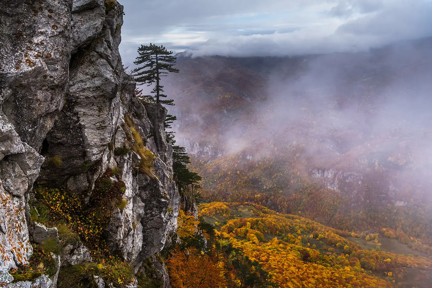 Parcul National Domogled-Valea Cernei