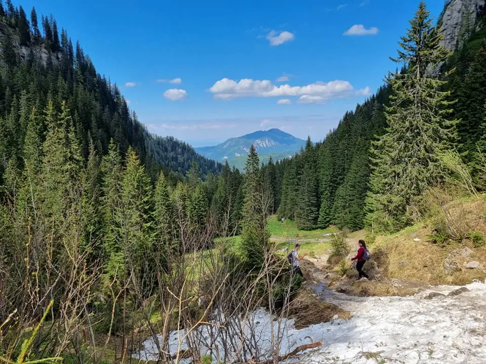 Drumetie spre Malaiesti - Razvan Nedu