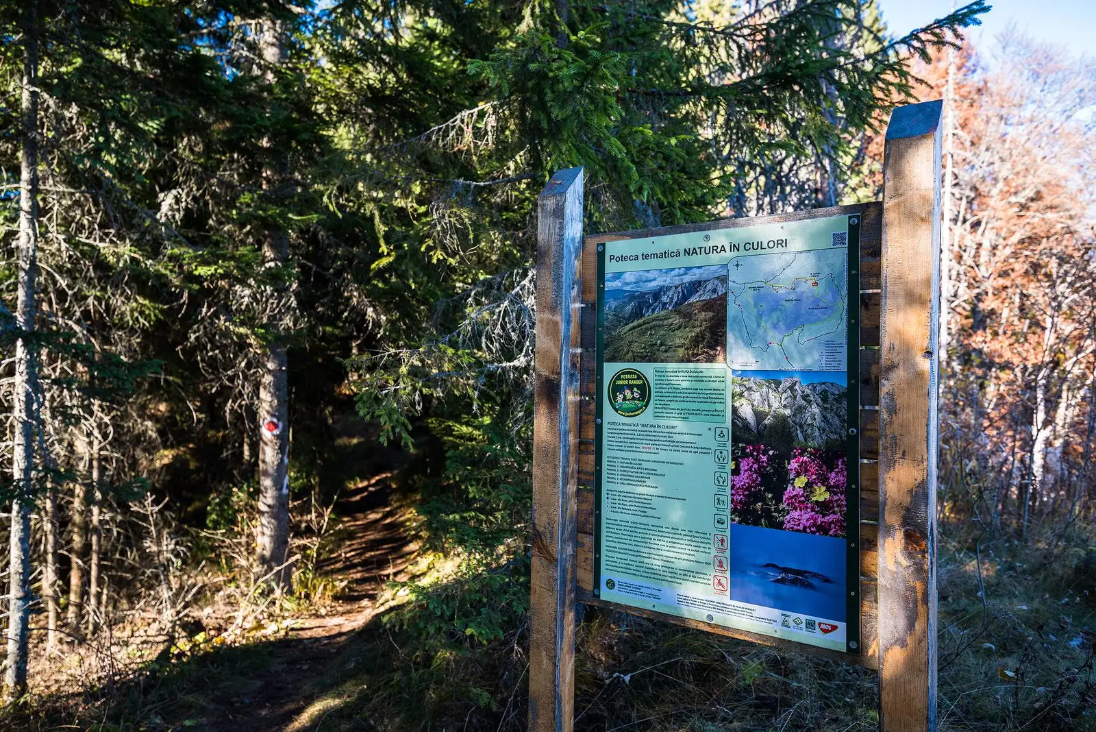 Intrarea pe poteca tematică - Morar Daniel