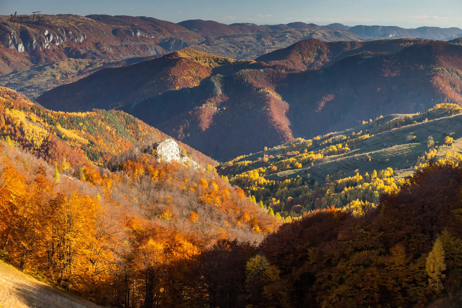 O lume colorata la piciore - Marius Turc