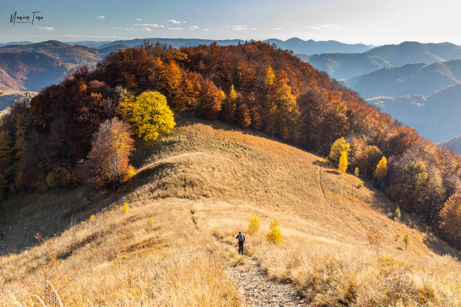 Pe culmea spre Poiana La Măteoaie - Marius Turc