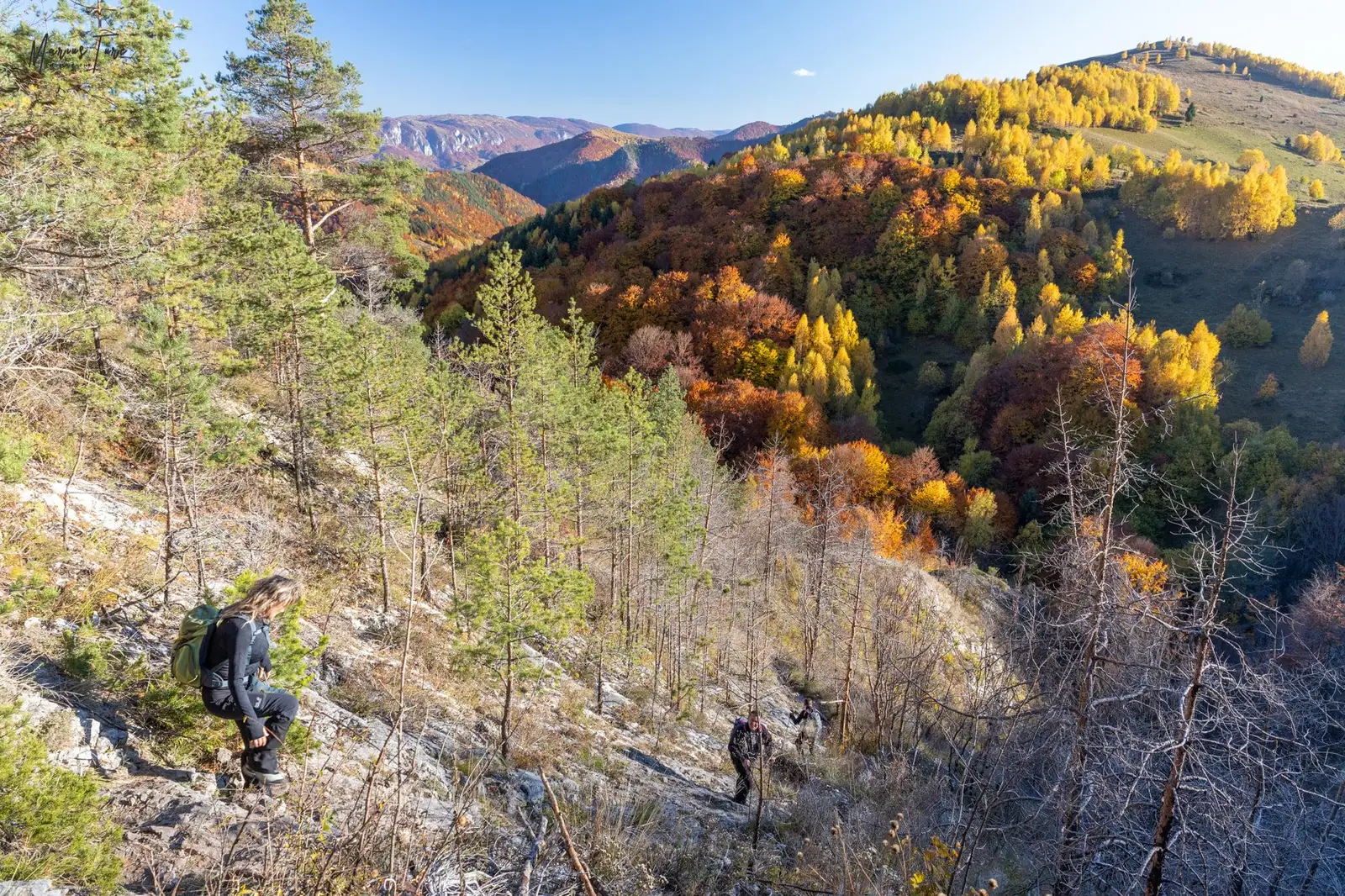 Coborarea prin zona La Stanci - Marius Turc