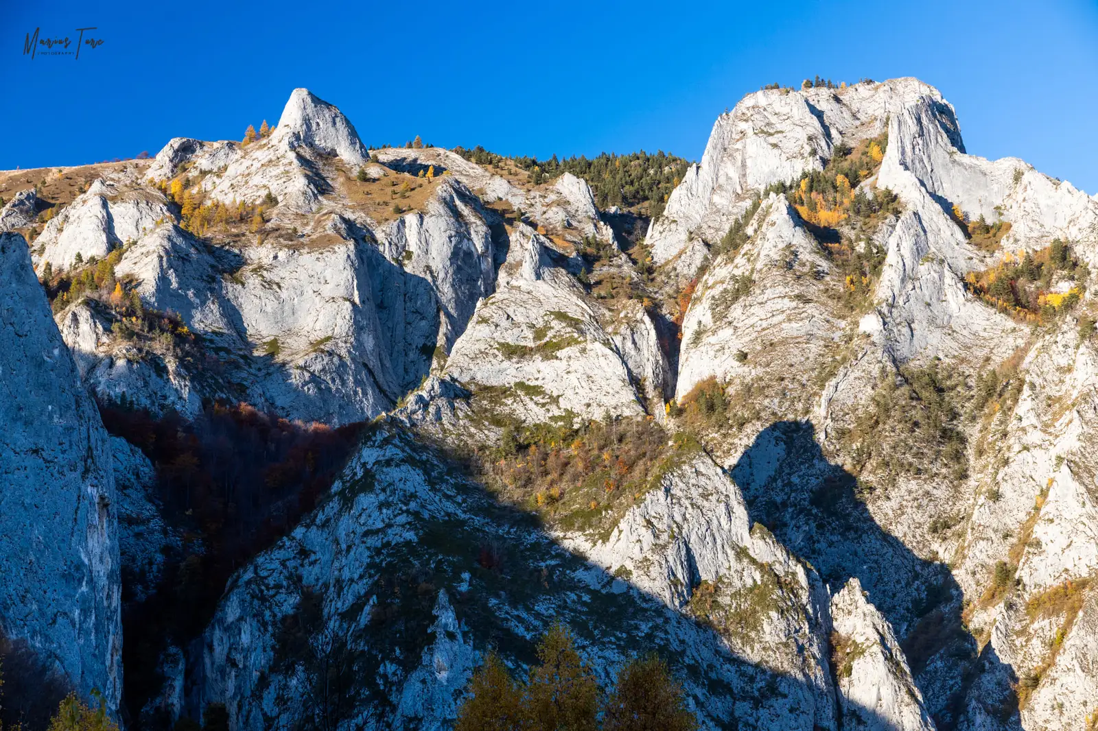 Pinteni calcarosi pe care i-am vizitat - Marius Turc
