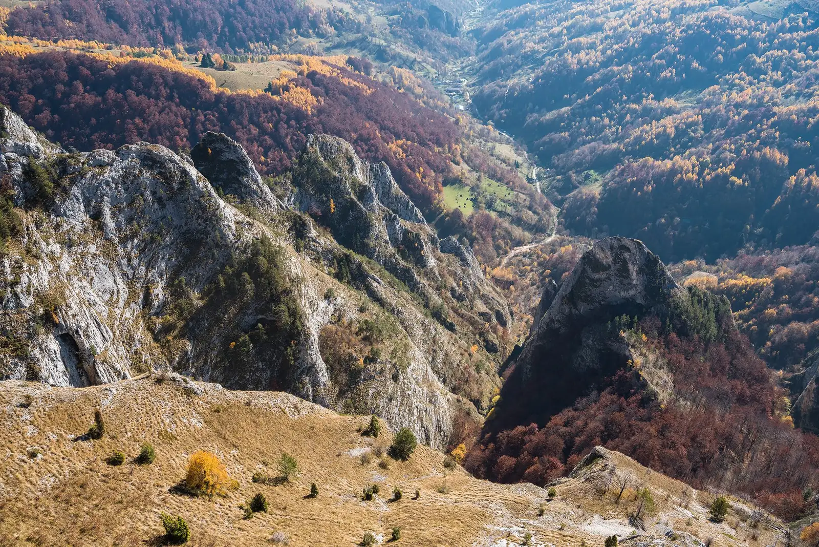 Valea Belioarei și Poșaga de Sus - Daniel Morar