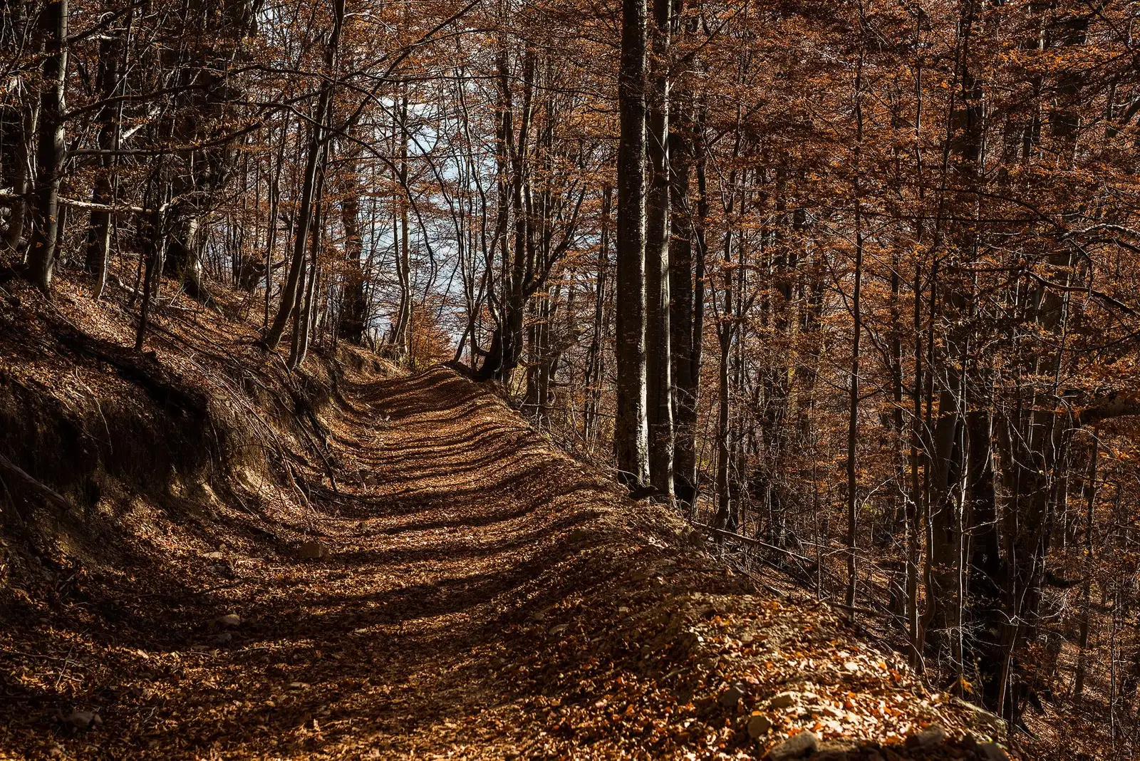 Coborârea pe Punct Roșu - Daniel Morar