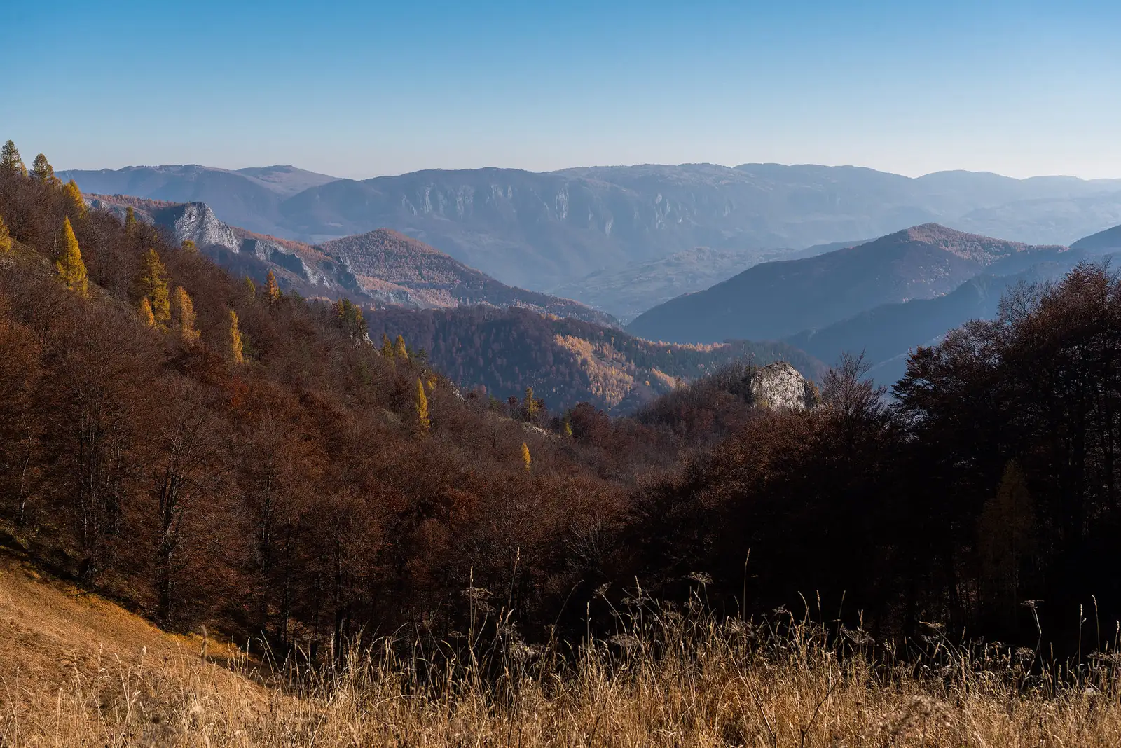 Abruptul Bedeleului - Daniel Morar