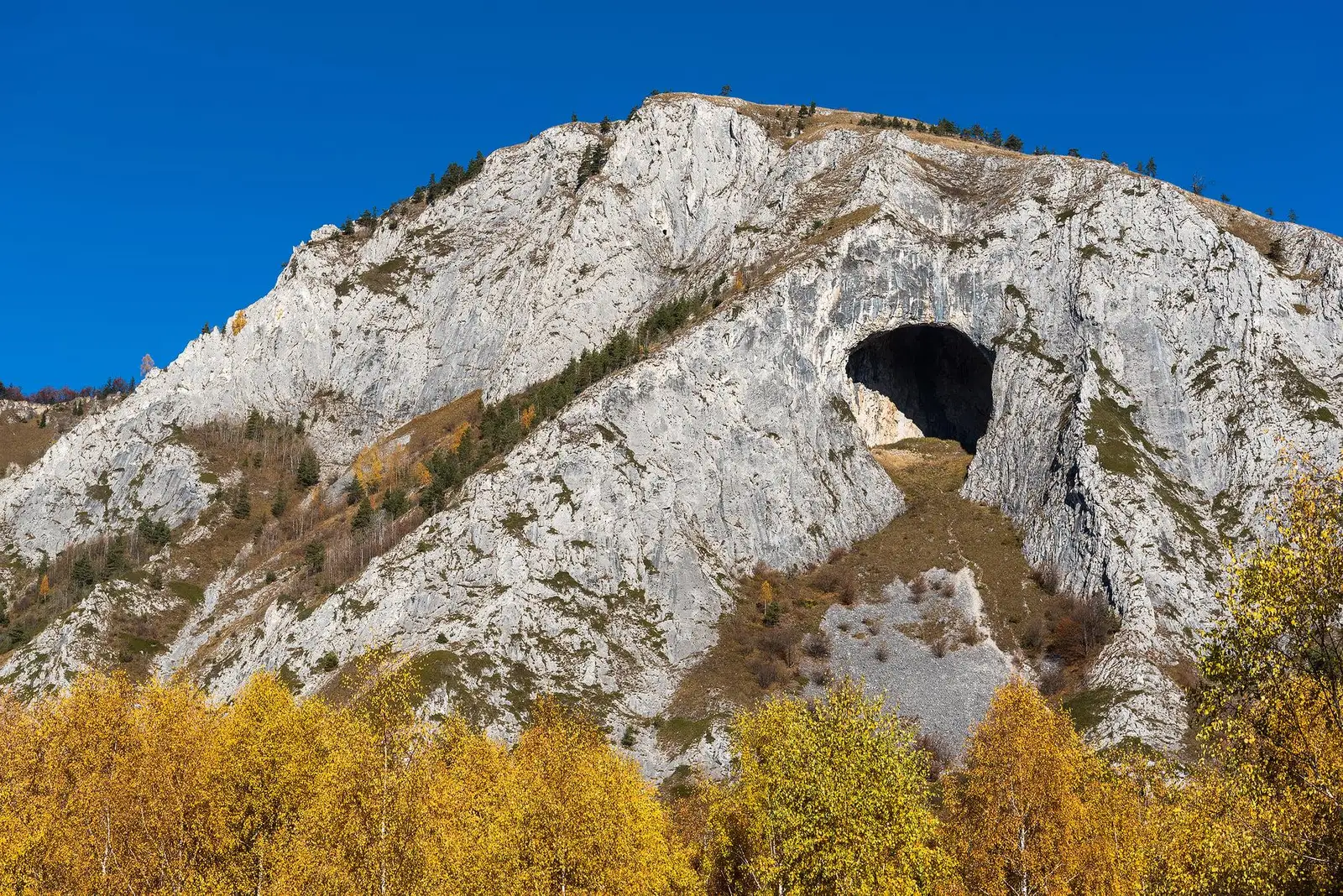 Poteca nemarcată și foarte abruptă - Daniel Morar