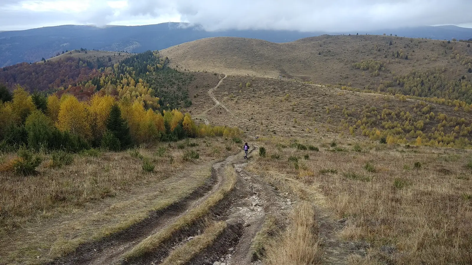 Coborârea spre șaua La Răscruce - Manu Munțomanu