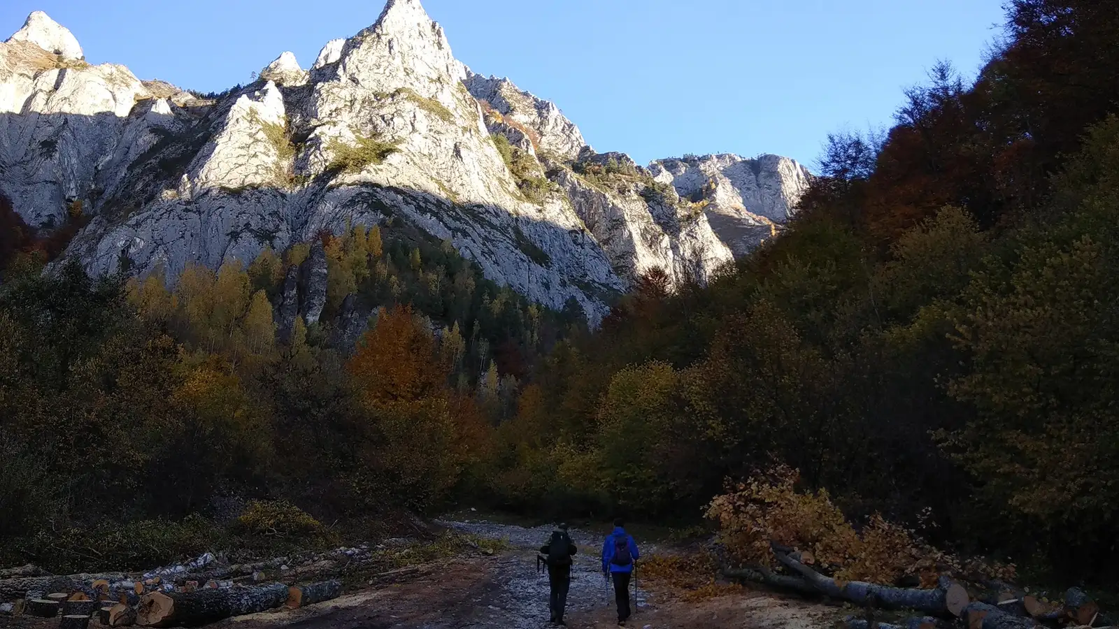 Drumul forestier de pe Valea Răstoacei - Manu Munțomanu