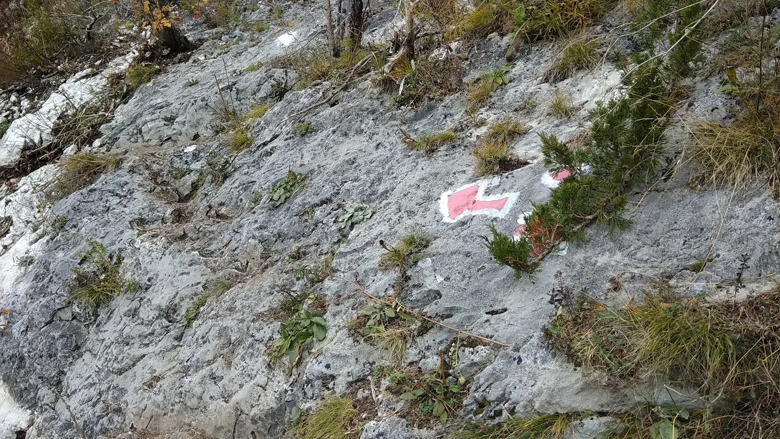 Marcaje pe porțiunea La Stânci - Manu Munțomanu