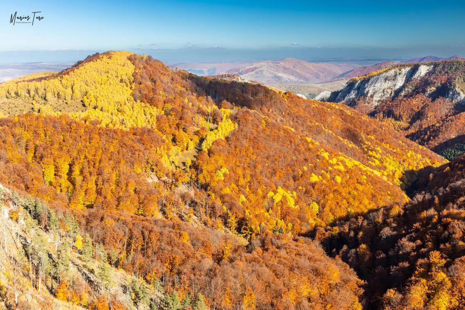Vedere spre Cheile Pociovalistei - Marius Turc