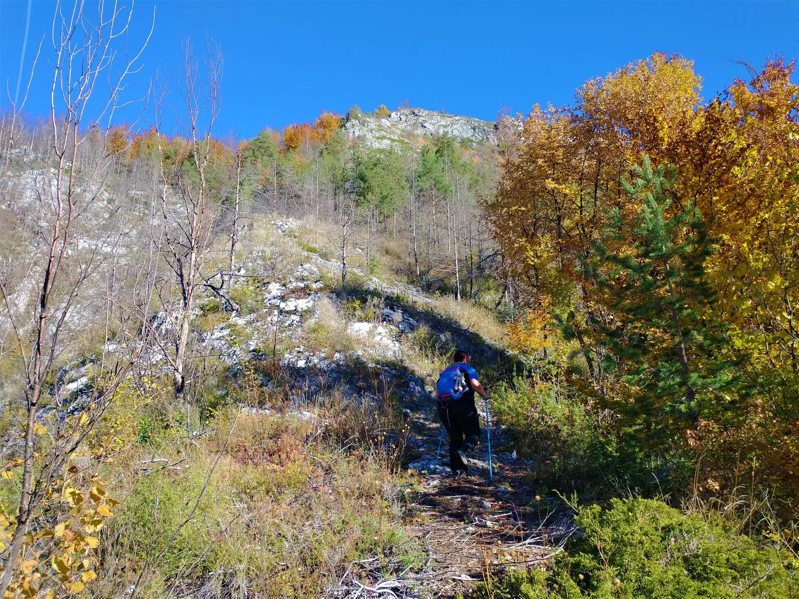 Zona La Stânci - Gavrila Albert