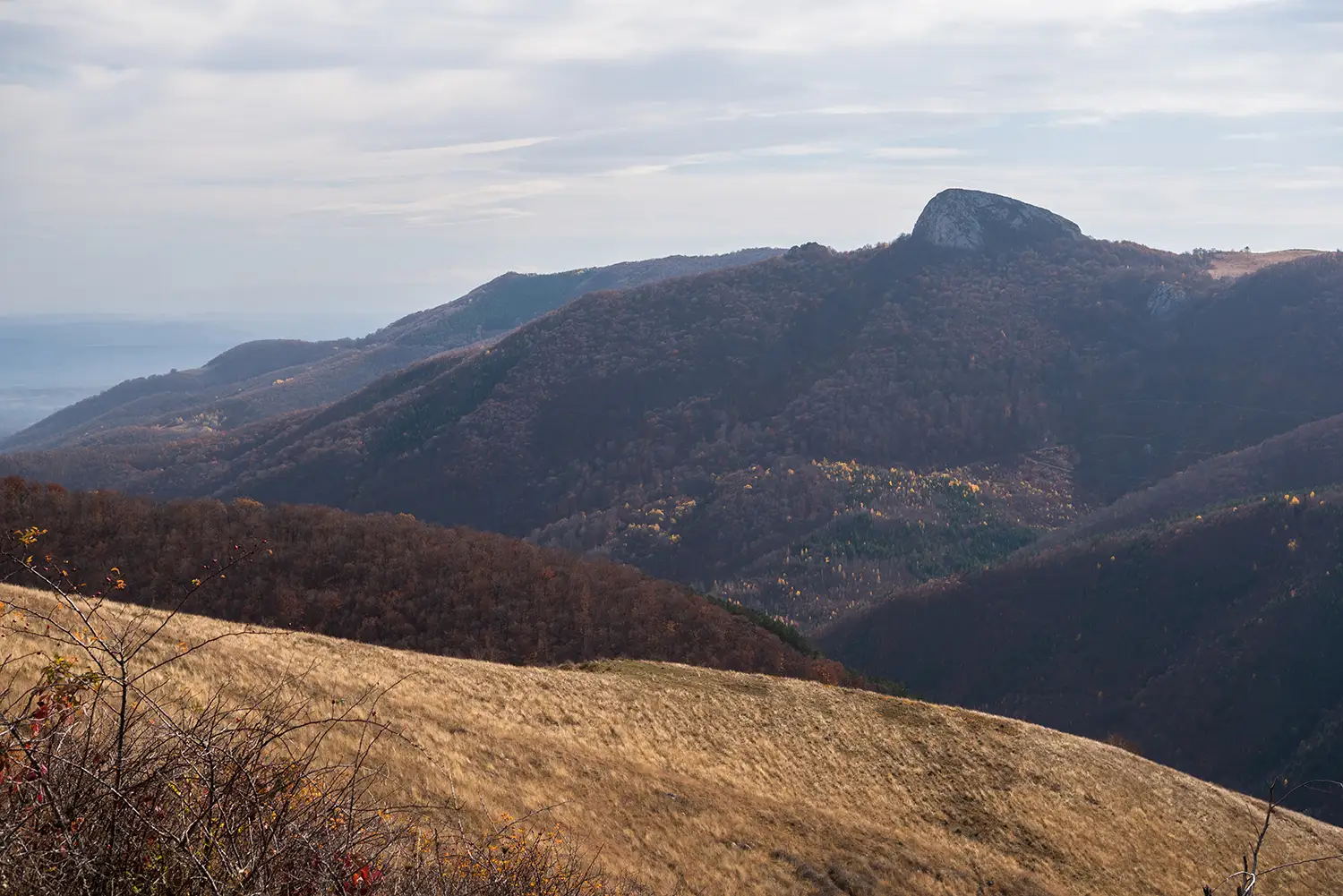La pas pe Plaiul Cheilor Întregalde