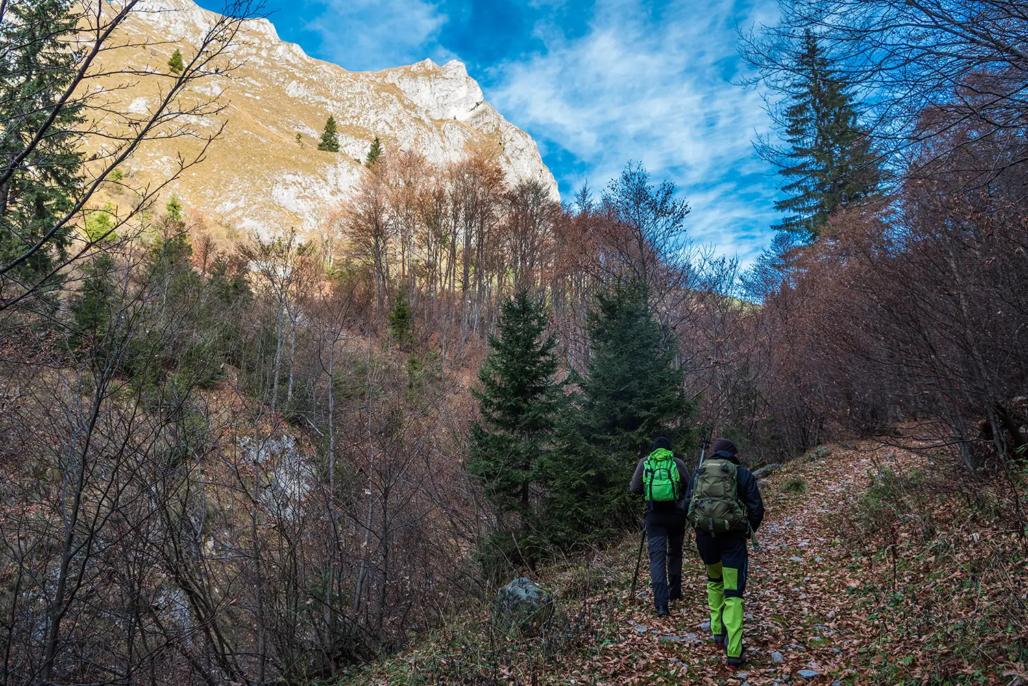 Munții Piule-Iorgovanu