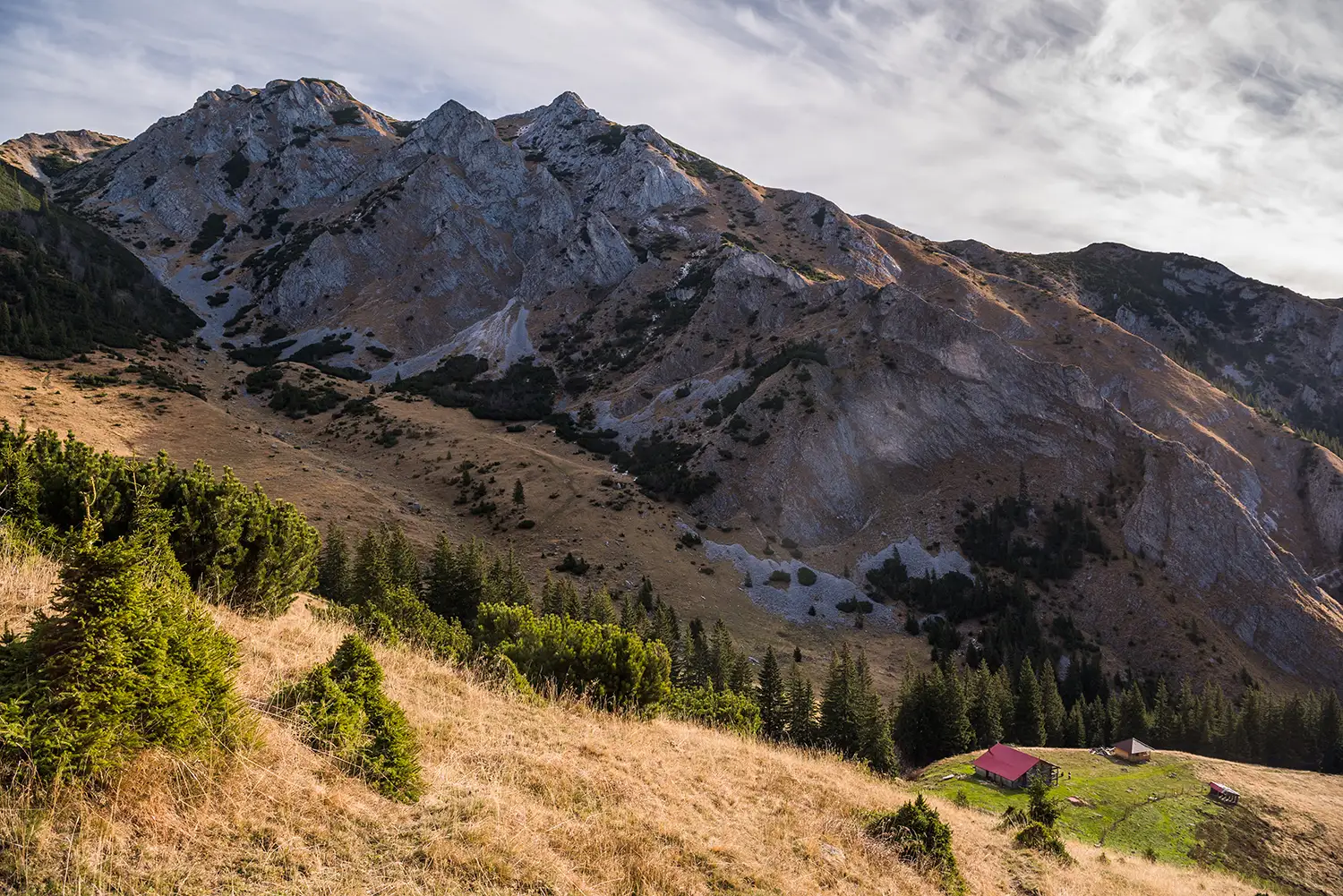 Munții Piule-Iorgovanu