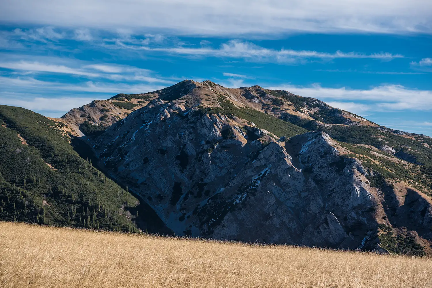 Munții Piule-Iorgovanu