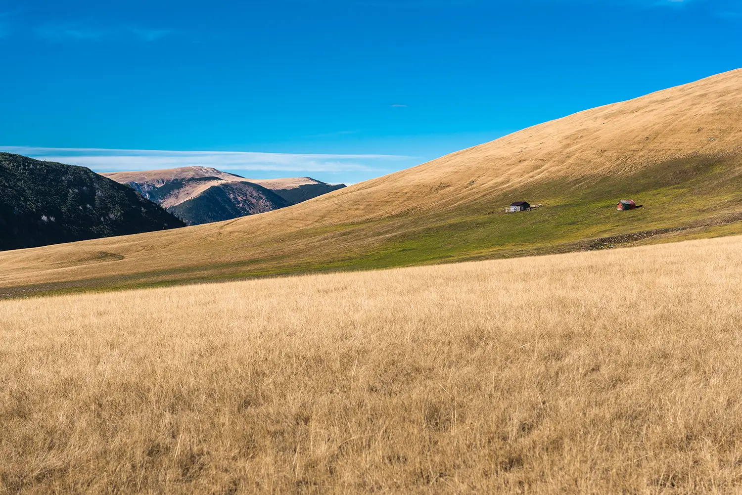 Munții Piule-Iorgovanu