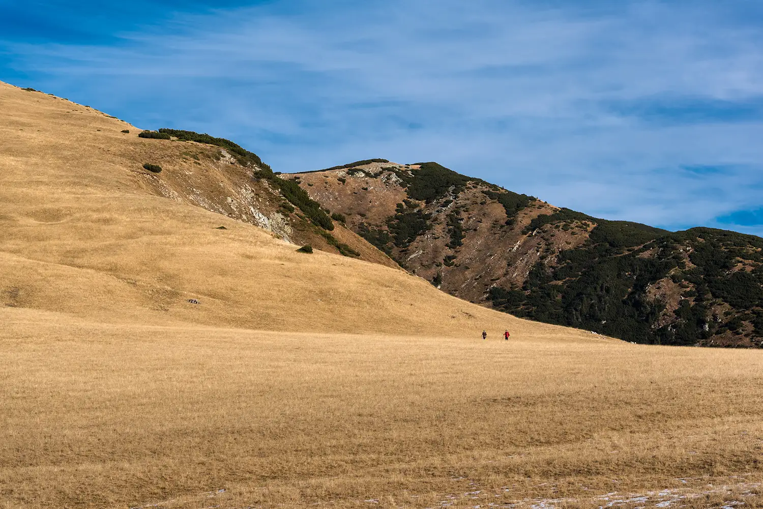 Munții Piule-Iorgovanu