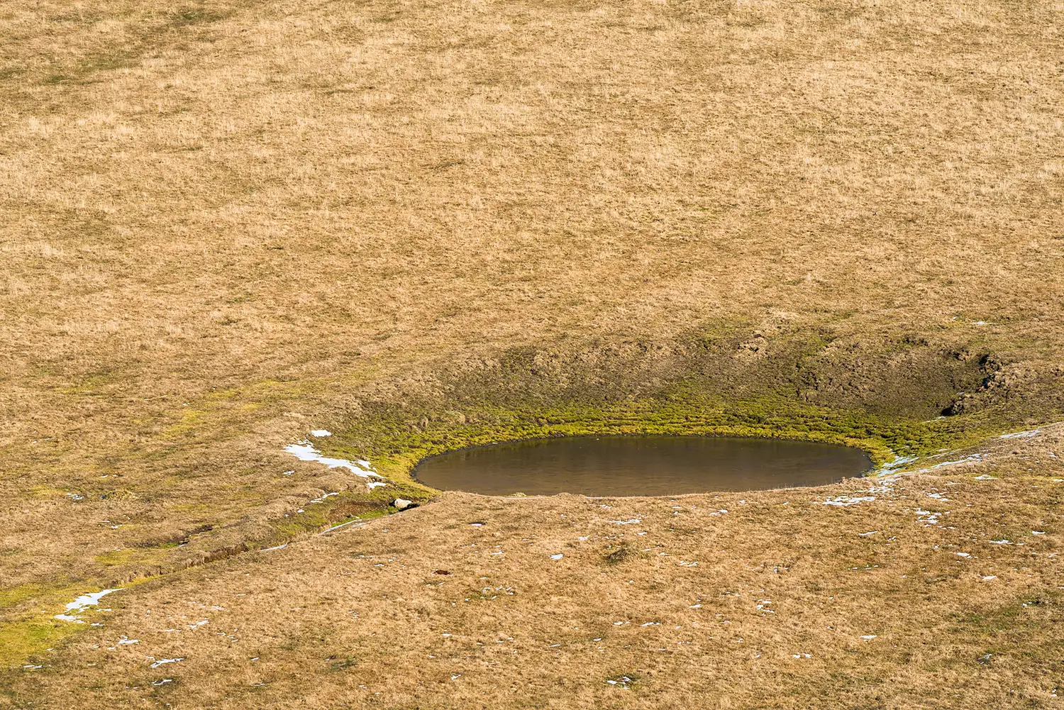 Munții Piule-Iorgovanu