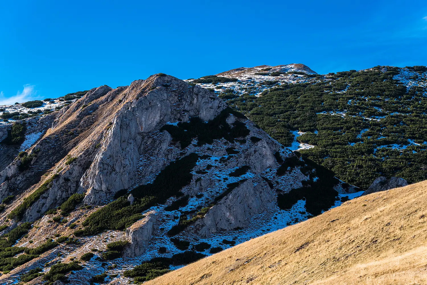 Munții Piule-Iorgovanu