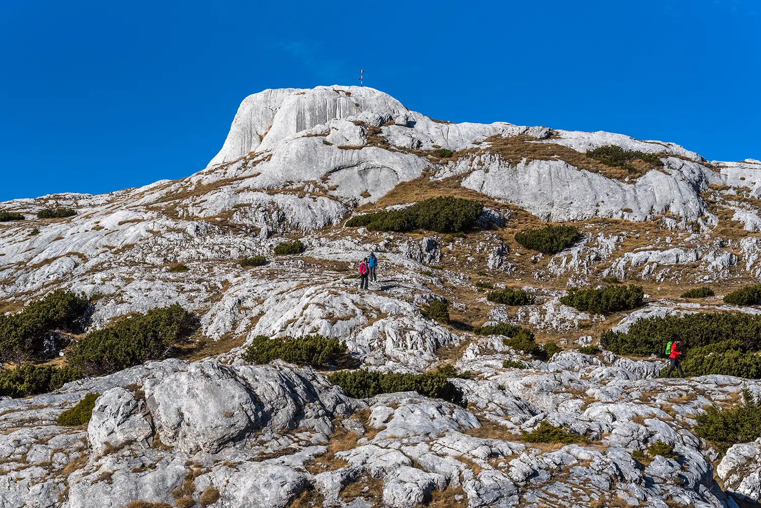 Munții Piule-Iorgovanu
