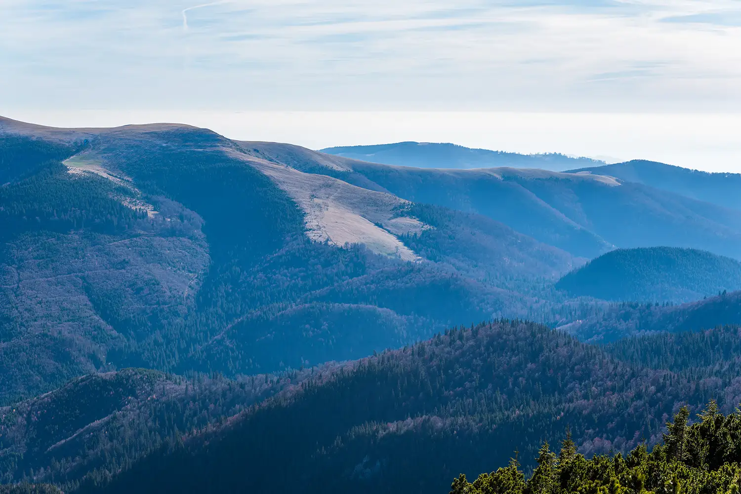 Munții Piule-Iorgovanu